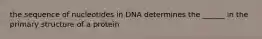 the sequence of nucleotides in DNA determines the ______ in the primary structure of a protein