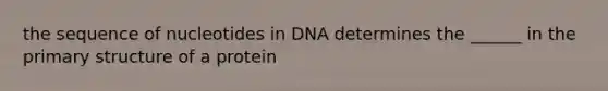 the sequence of nucleotides in DNA determines the ______ in the <a href='https://www.questionai.com/knowledge/knHR7ecP3u-primary-structure' class='anchor-knowledge'>primary structure</a> of a protein