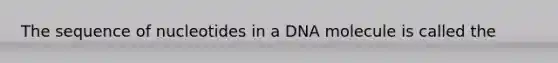 The sequence of nucleotides in a DNA molecule is called the