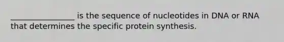 ________________ is the sequence of nucleotides in DNA or RNA that determines the specific protein synthesis.