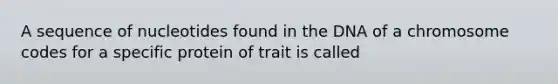 A sequence of nucleotides found in the DNA of a chromosome codes for a specific protein of trait is called