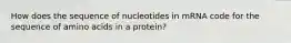 How does the sequence of nucleotides in mRNA code for the sequence of amino acids in a protein?