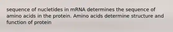 sequence of nucletides in mRNA determines the sequence of amino acids in the protein. Amino acids determine structure and function of protein