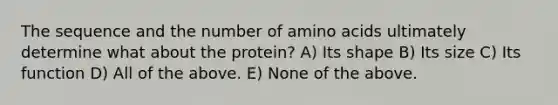 The sequence and the number of amino acids ultimately determine what about the protein? A) Its shape B) Its size C) Its function D) All of the above. E) None of the above.