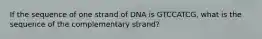 If the sequence of one strand of DNA is GTCCATCG, what is the sequence of the complementary strand?