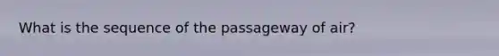 What is the sequence of the passageway of air?