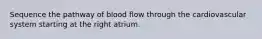 Sequence the pathway of blood flow through the cardiovascular system starting at the right atrium.