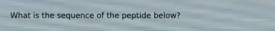 What is the sequence of the peptide below?