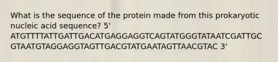 What is the sequence of the protein made from this prokaryotic nucleic acid sequence? 5' ATGTTTTATTGATTGACATGAGGAGGTCAGTATGGGTATAATCGATTGCGTAATGTAGGAGGTAGTTGACGTATGAATAGTTAACGTAC 3'