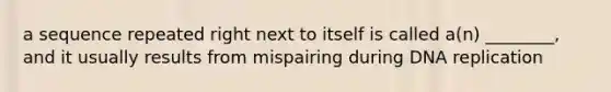 a sequence repeated right next to itself is called a(n) ________, and it usually results from mispairing during DNA replication