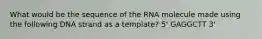 What would be the sequence of the RNA molecule made using the following DNA strand as a template? 5' GAGGCTT 3'