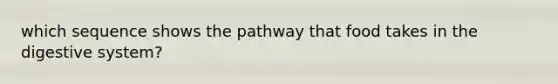 which sequence shows the pathway that food takes in the digestive system?