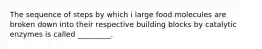 The sequence of steps by which i large food molecules are broken down into their respective building blocks by catalytic enzymes is called _________.
