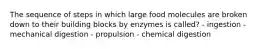 The sequence of steps in which large food molecules are broken down to their building blocks by enzymes is called? - ingestion - mechanical digestion - propulsion - chemical digestion