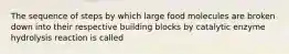 The sequence of steps by which large food molecules are broken down into their respective building blocks by catalytic enzyme hydrolysis reaction is called