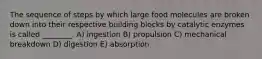 The sequence of steps by which large food molecules are broken down into their respective building blocks by catalytic enzymes is called ________. A) ingestion B) propulsion C) mechanical breakdown D) digestion E) absorption