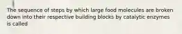 The sequence of steps by which large food molecules are broken down into their respective building blocks by catalytic enzymes is called