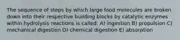 The sequence of steps by which large food molecules are broken down into their respective building blocks by catalytic enzymes within hydrolysis reactions is called: A) ingestion B) propulsion C) mechanical digestion D) chemical digestion E) absorption