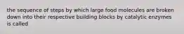 the sequence of steps by which large food molecules are broken down into their respective building blocks by catalytic enzymes is called