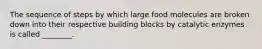 The sequence of steps by which large food molecules are broken down into their respective building blocks by catalytic enzymes is called ________.