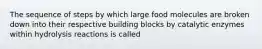 The sequence of steps by which large food molecules are broken down into their respective building blocks by catalytic enzymes within hydrolysis reactions is called