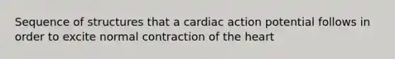 Sequence of structures that a cardiac action potential follows in order to excite normal contraction of the heart