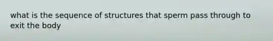 what is the sequence of structures that sperm pass through to exit the body