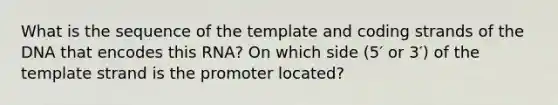 What is the sequence of the template and coding strands of the DNA that encodes this RNA? On which side (5′ or 3′) of the template strand is the promoter located?