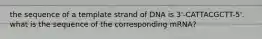 the sequence of a template strand of DNA is 3'-CATTACGCTT-5'. what is the sequence of the corresponding mRNA?