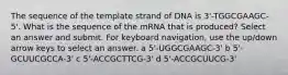 The sequence of the template strand of DNA is 3'-TGGCGAAGC-5'. What is the sequence of the mRNA that is produced? Select an answer and submit. For keyboard navigation, use the up/down arrow keys to select an answer. a 5'-UGGCGAAGC-3' b 5'-GCUUCGCCA-3' c 5'-ACCGCTTCG-3' d 5'-ACCGCUUCG-3'