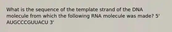 What is the sequence of the template strand of the DNA molecule from which the following RNA molecule was made? 5' AUGCCCGUUACU 3'