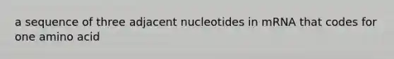 a sequence of three adjacent nucleotides in mRNA that codes for one amino acid