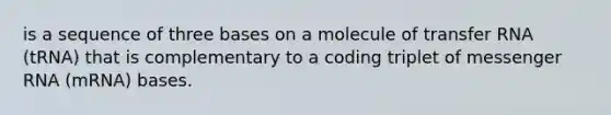 is a sequence of three bases on a molecule of transfer RNA (tRNA) that is complementary to a coding triplet of messenger RNA (mRNA) bases.