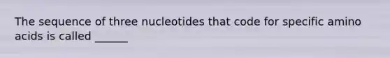 The sequence of three nucleotides that code for specific amino acids is called ______