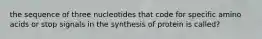 the sequence of three nucleotides that code for specific amino acids or stop signals in the synthesis of protein is called?