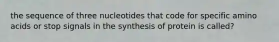 the sequence of three nucleotides that code for specific amino acids or stop signals in the synthesis of protein is called?