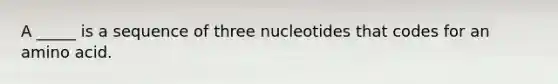 A _____ is a sequence of three nucleotides that codes for an amino acid.