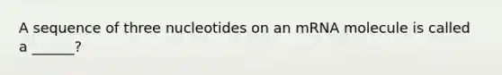 A sequence of three nucleotides on an mRNA molecule is called a ______?