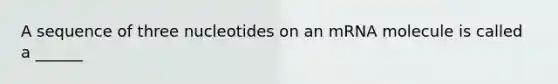 A sequence of three nucleotides on an mRNA molecule is called a ______