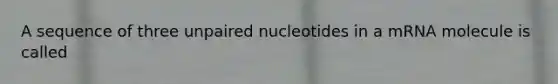 A sequence of three unpaired nucleotides in a mRNA molecule is called