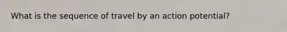 What is the sequence of travel by an action potential?