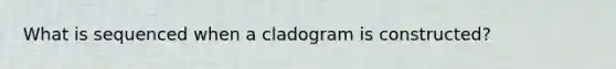 What is sequenced when a cladogram is constructed?