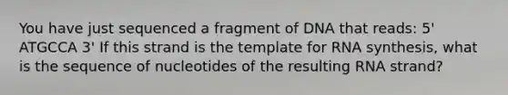 You have just sequenced a fragment of DNA that reads: 5' ATGCCA 3' If this strand is the template for RNA synthesis, what is the sequence of nucleotides of the resulting RNA strand?