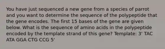 You have just sequenced a new gene from a species of parrot and you want to determine the sequence of the polypeptide that the gene encodes. The first 15 bases of the gene are given below. What is the sequence of amino acids in the polypeptide encoded by the template strand of this gene? Template: 3' TAC ATA GGA CTG CCG 5'