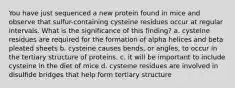 You have just sequenced a new protein found in mice and observe that sulfur-containing cysteine residues occur at regular intervals. What is the significance of this finding? a. cysteine residues are required for the formation of alpha helices and beta pleated sheets b. cysteine causes bends, or angles, to occur in the tertiary structure of proteins. c. it will be important to include cysteine in the diet of mice d. cysteine residues are involved in disulfide bridges that help form tertiary structure