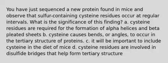 You have just sequenced a new protein found in mice and observe that sulfur-containing cysteine residues occur at regular intervals. What is the significance of this finding? a. cysteine residues are required for the formation of alpha helices and beta pleated sheets b. cysteine causes bends, or angles, to occur in the tertiary structure of proteins. c. it will be important to include cysteine in the diet of mice d. cysteine residues are involved in disulfide bridges that help form tertiary structure