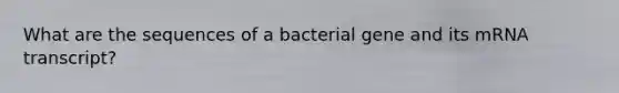 What are the sequences of a bacterial gene and its mRNA transcript?