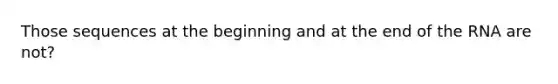 Those sequences at the beginning and at the end of the RNA are not?