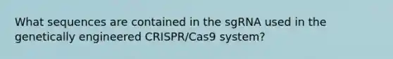 What sequences are contained in the sgRNA used in the genetically engineered CRISPR/Cas9 system?