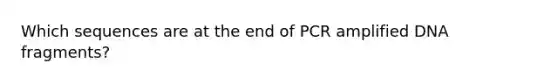 Which sequences are at the end of PCR amplified DNA fragments?